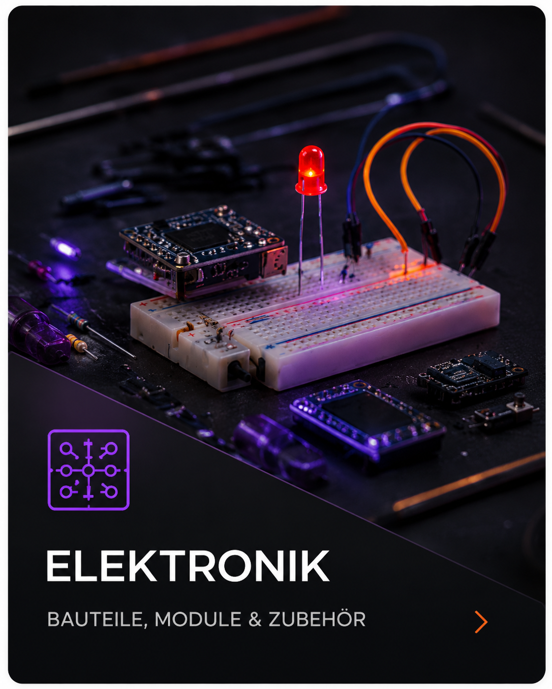 Elektronik